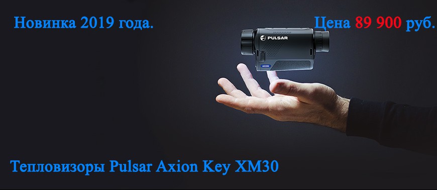 Pulsar Axion